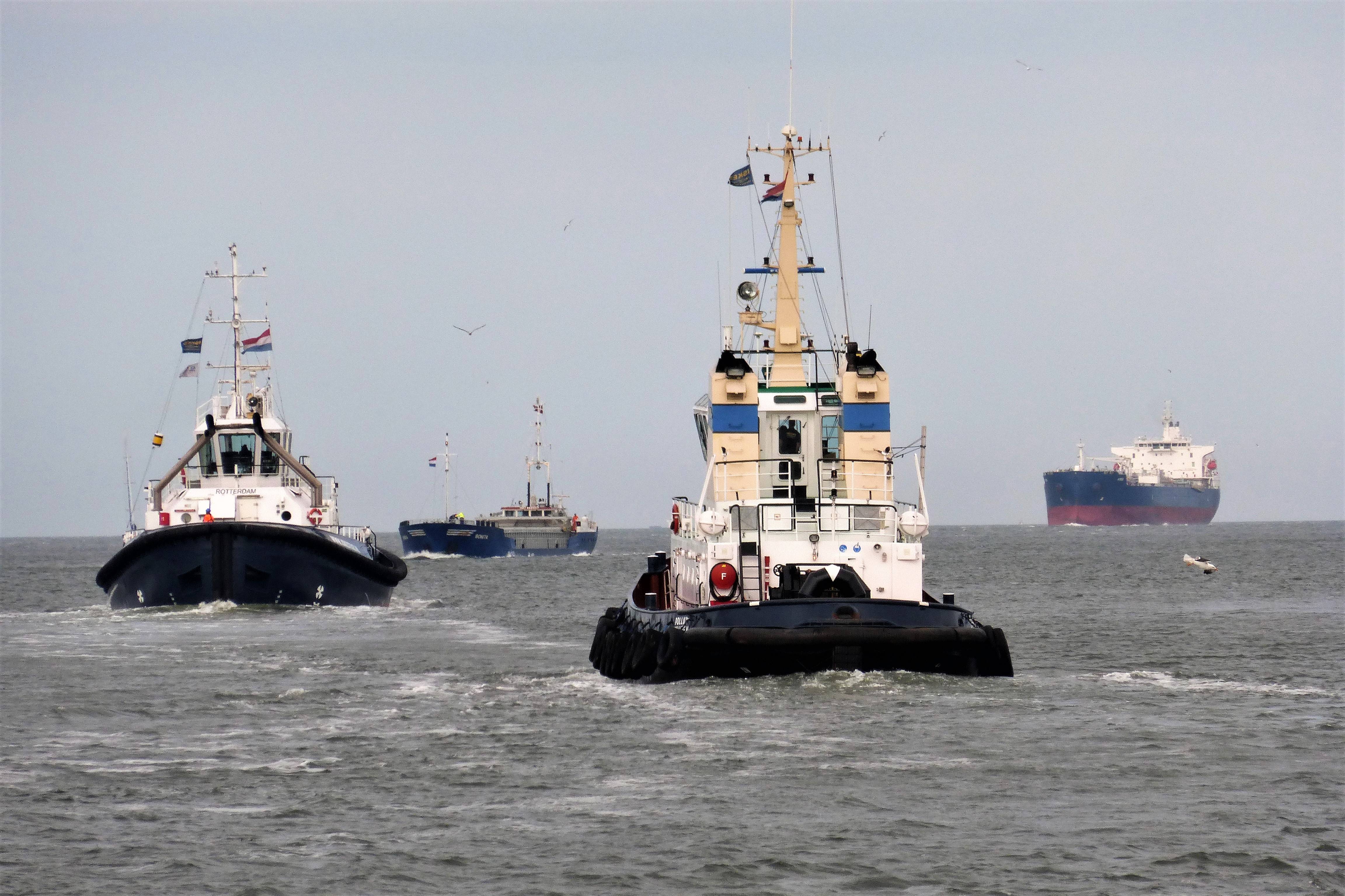 Pieren IJmuiden   10-06-19 